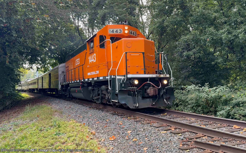 LTEX 1443 leads north at North St.